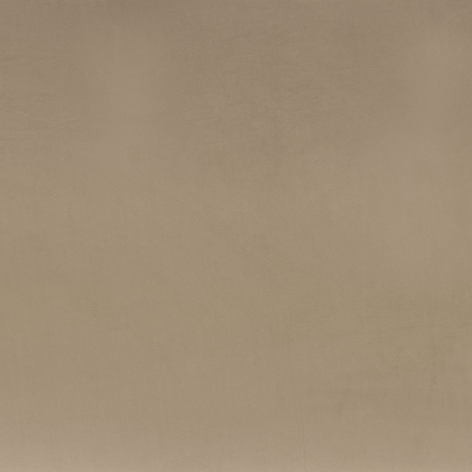 Coulisse Fr 35650320