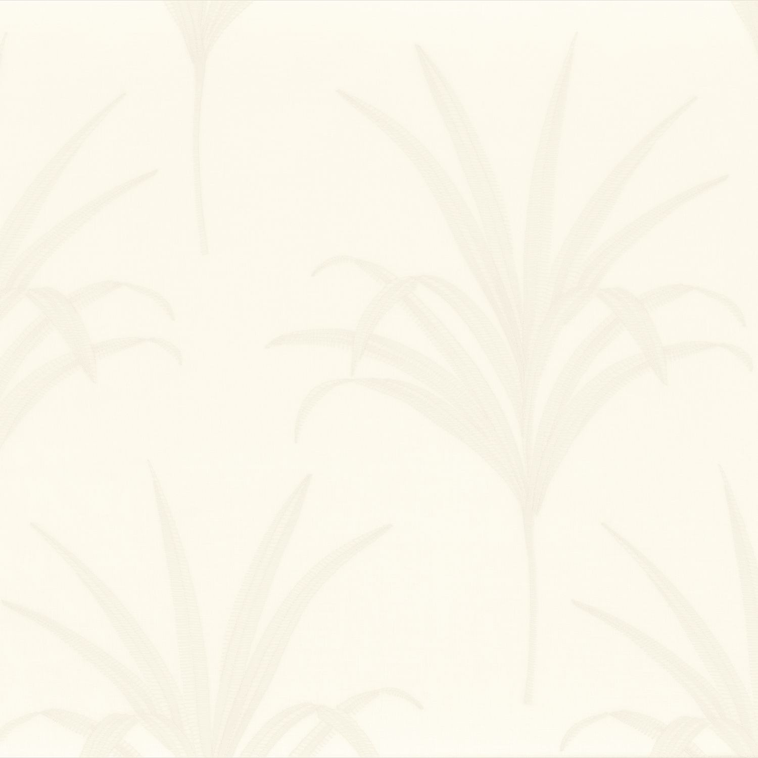 Daydream 31160146