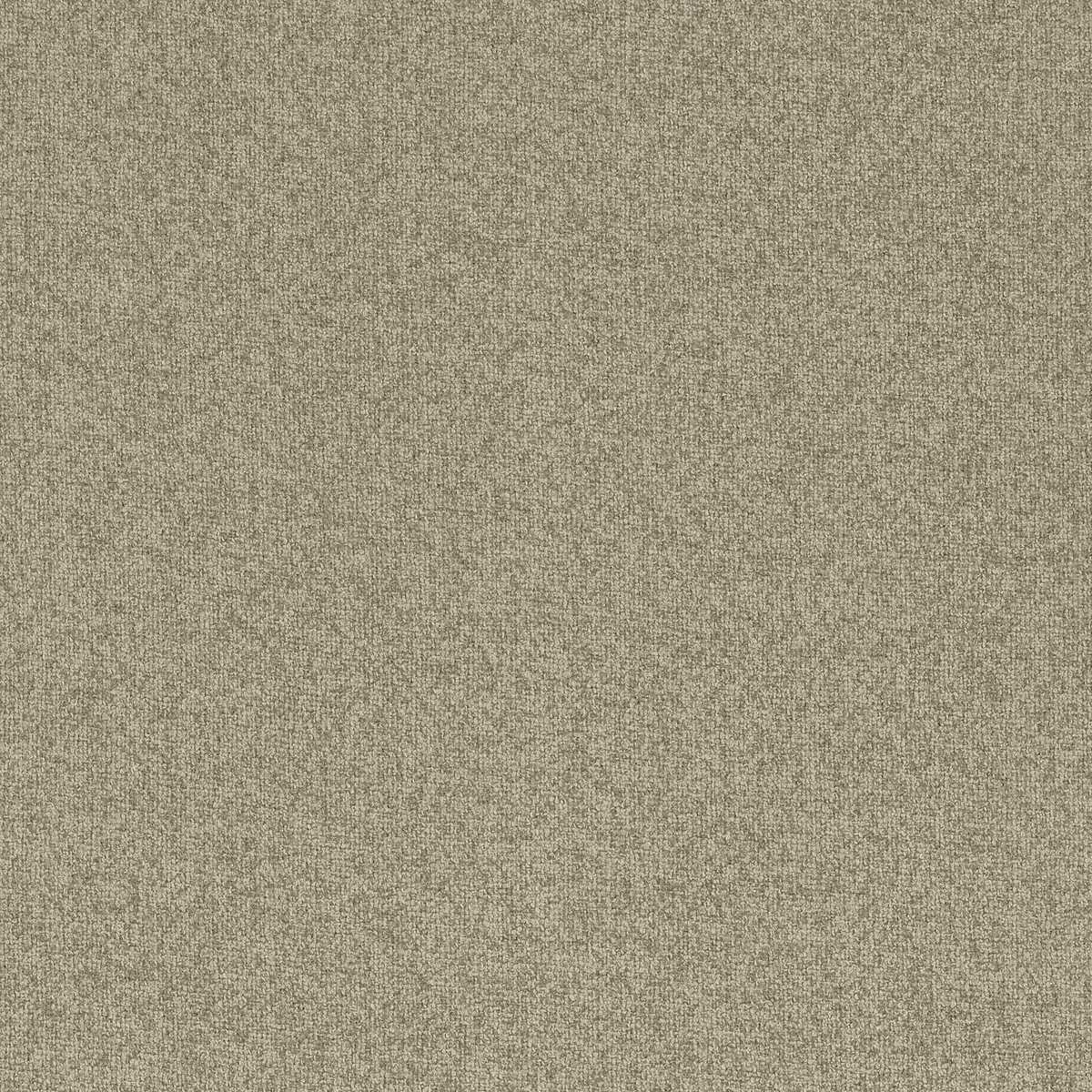 Elyssa 12900916