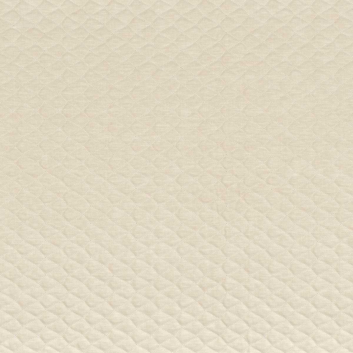 Espuma 49280247