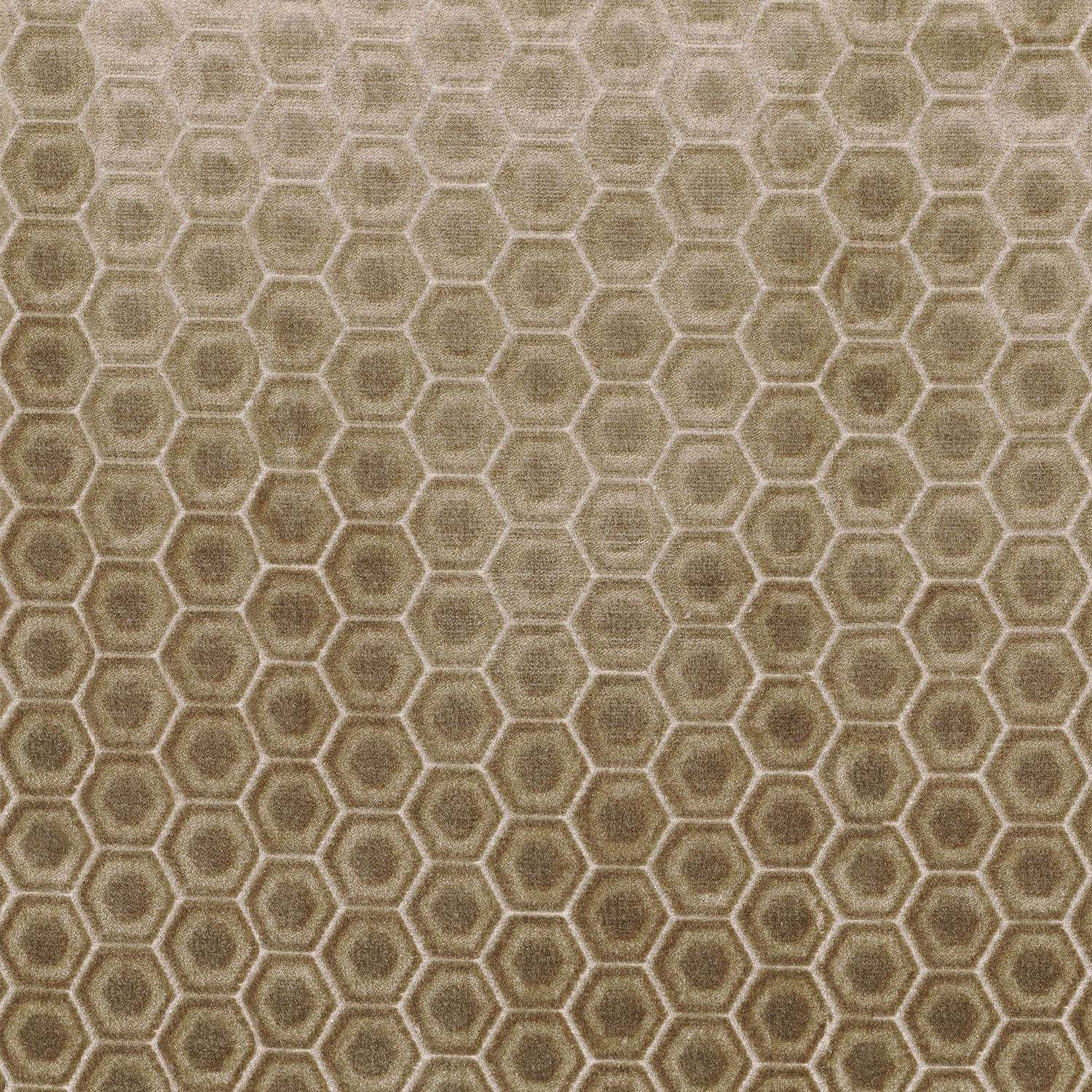 Istrie A44140240