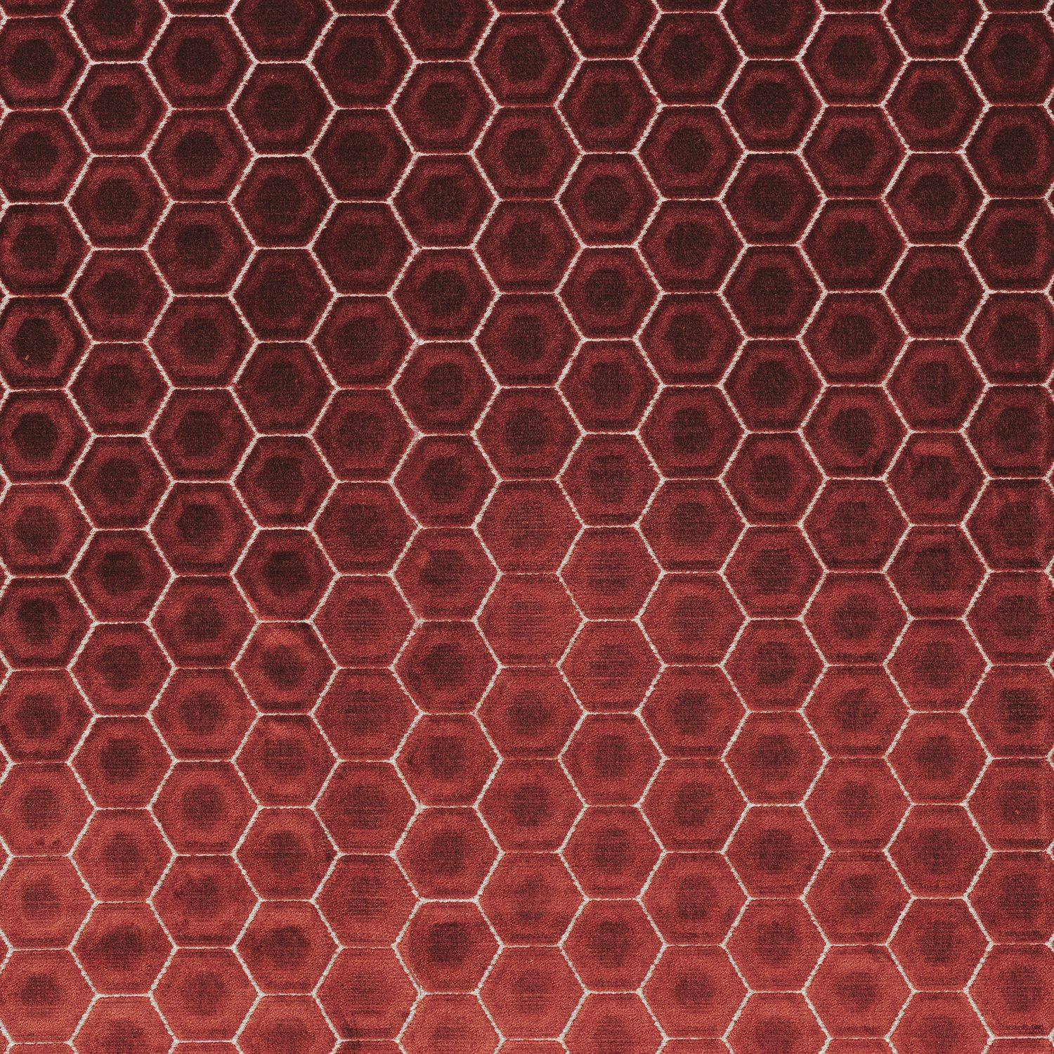 Istrie A44140570