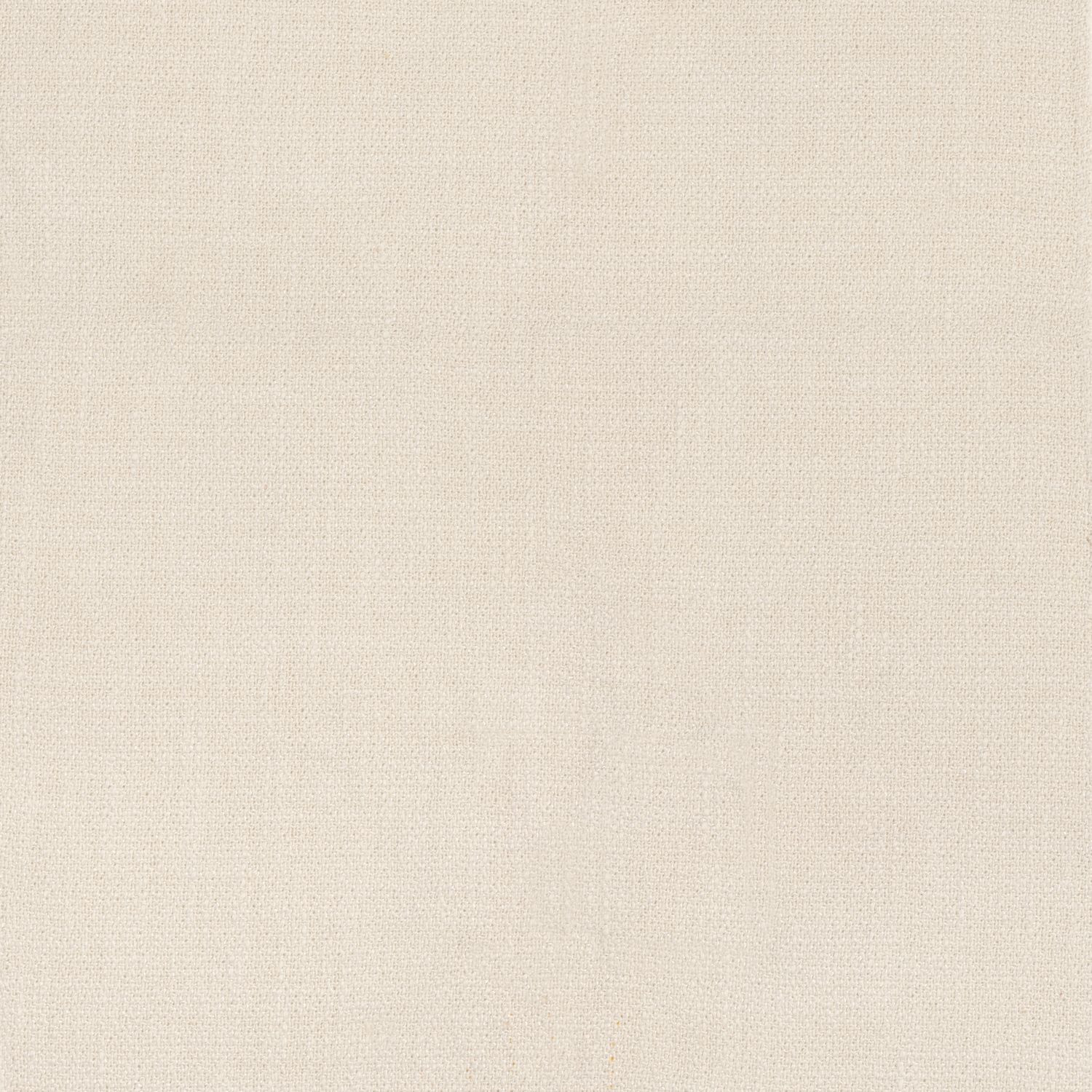 Kauri 36180456