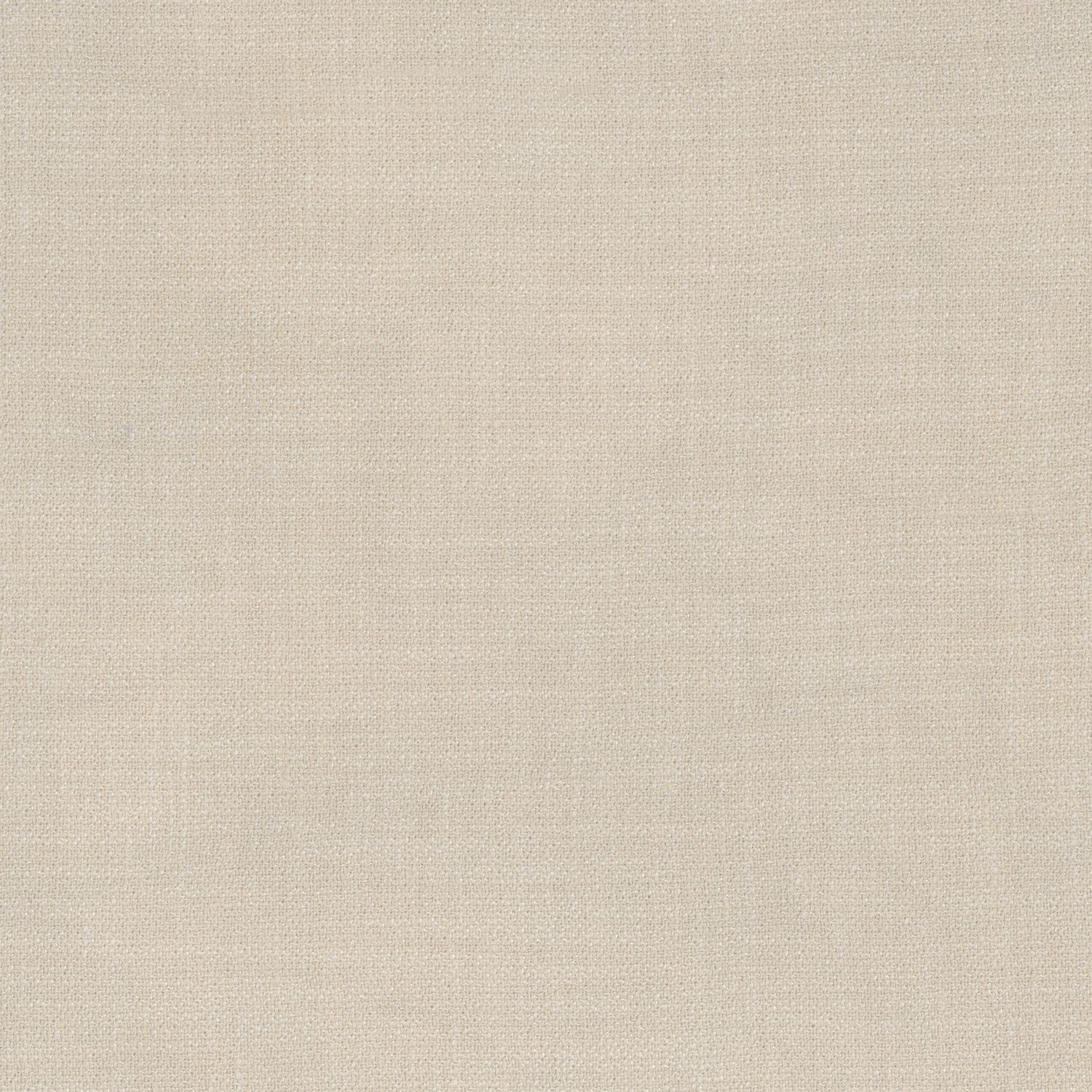Kauri 36180509
