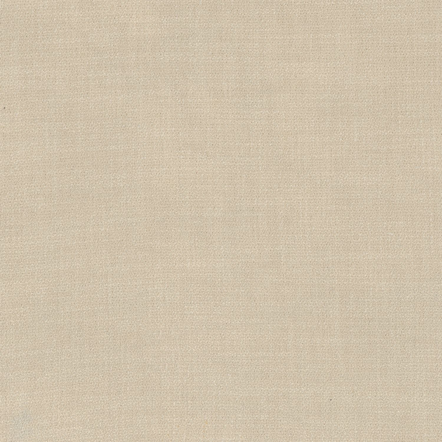 Kauri 36180624