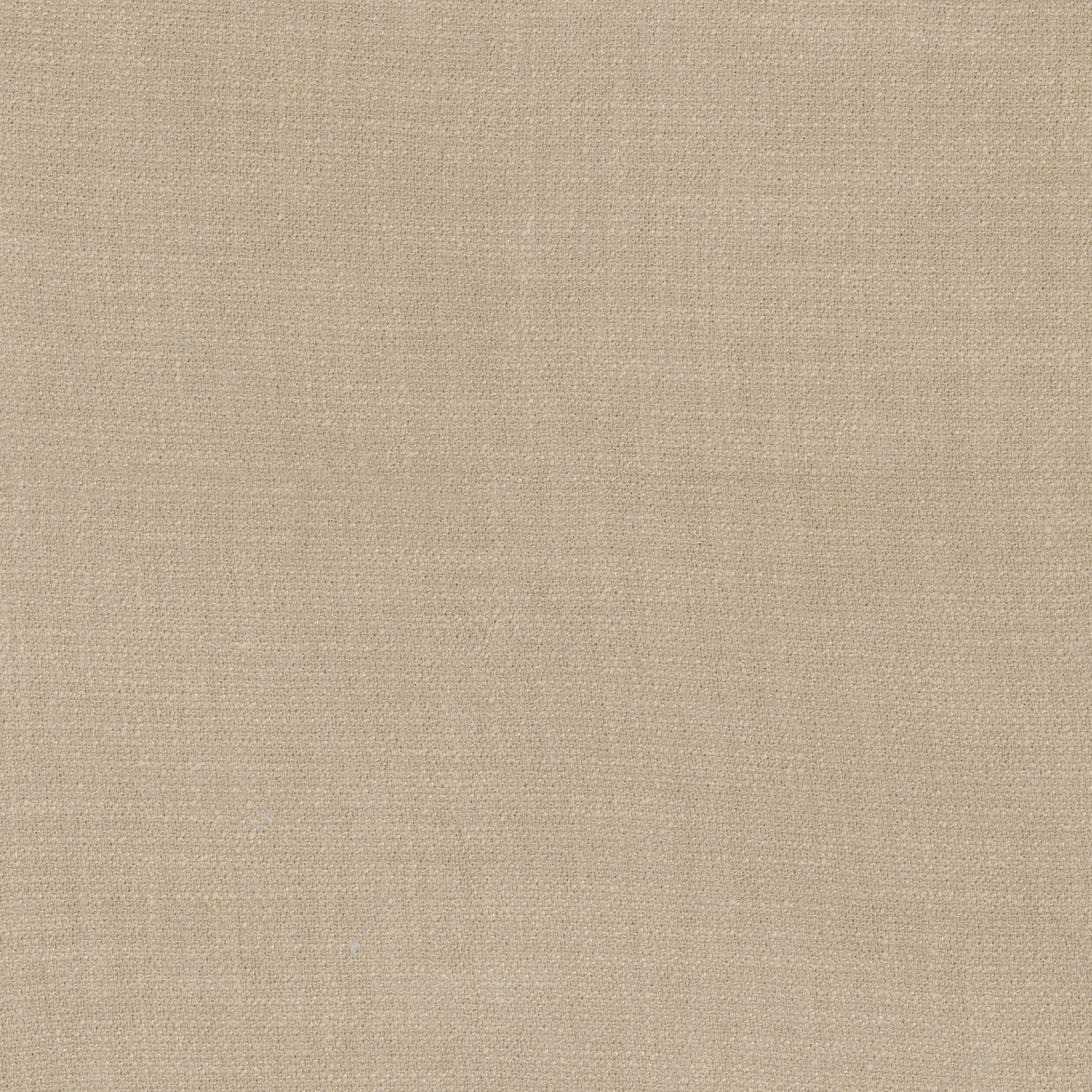 Kauri 36180755