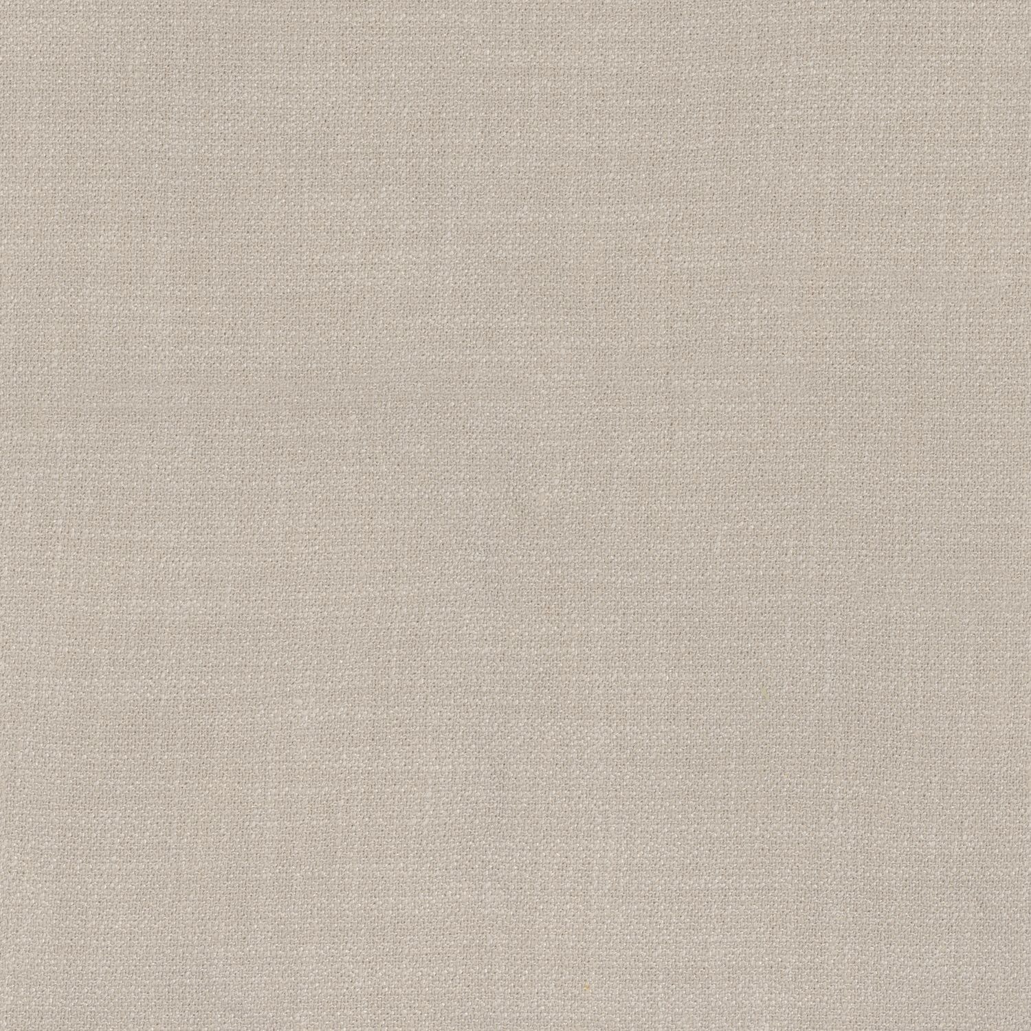 Kauri 36180874