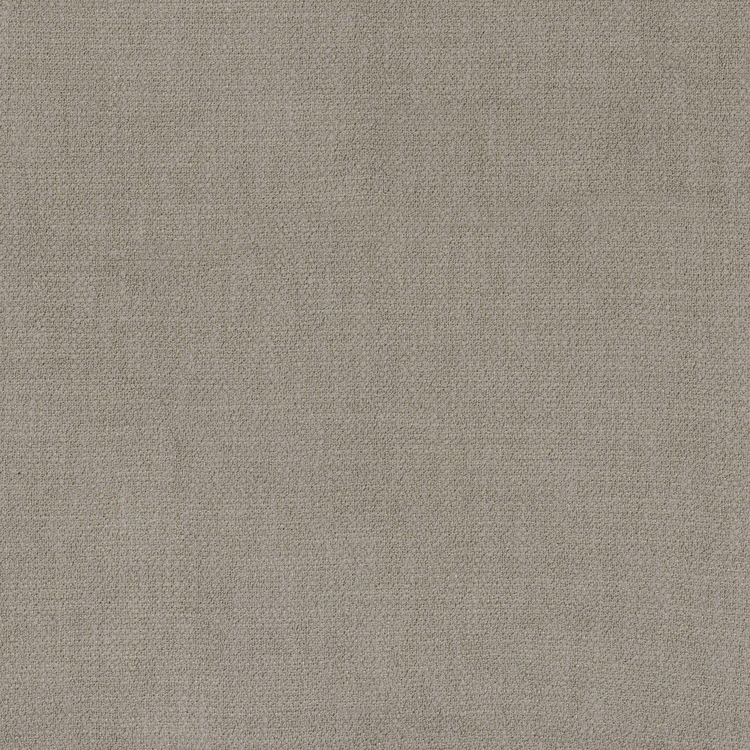 Kauri 36180905