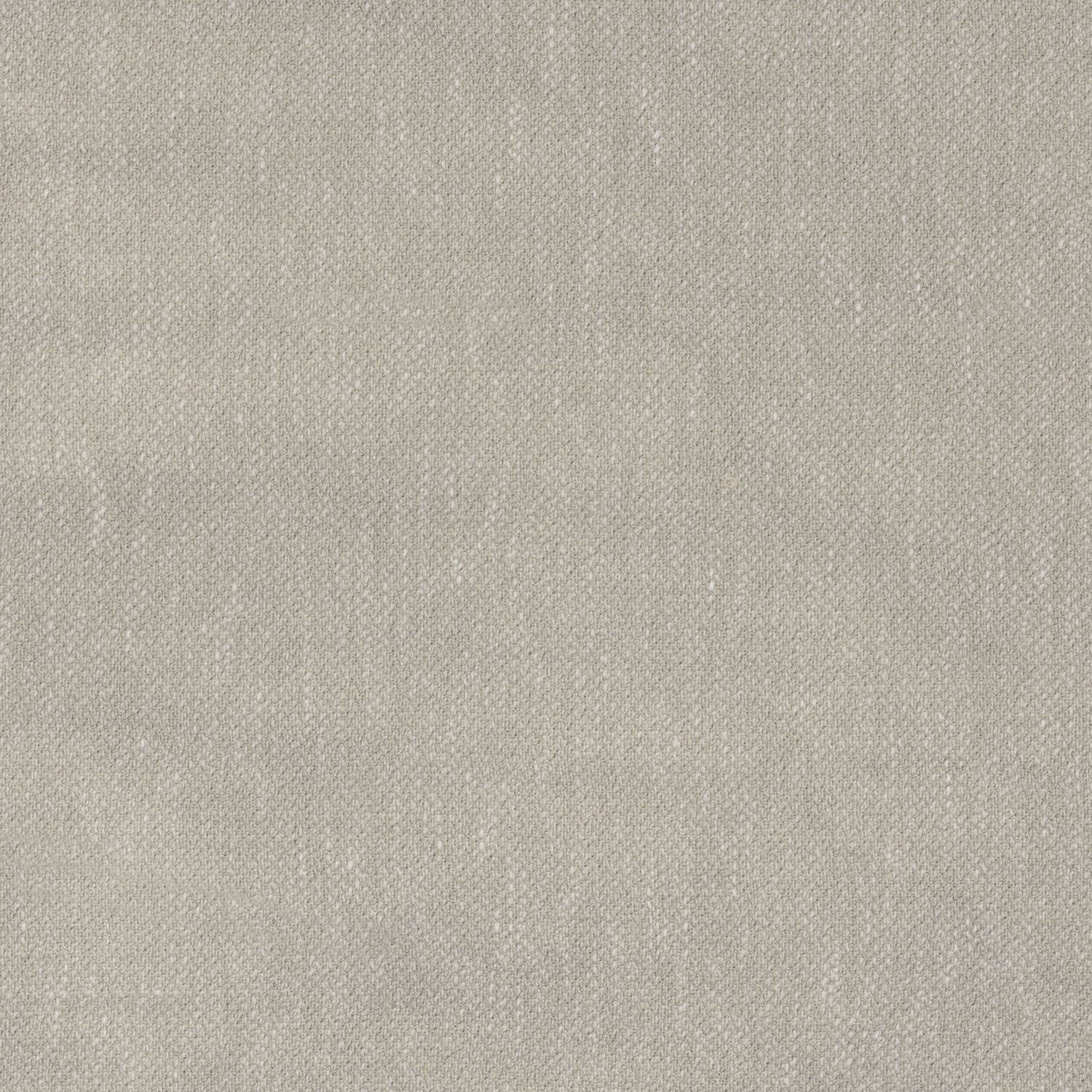 Kauri 36181034