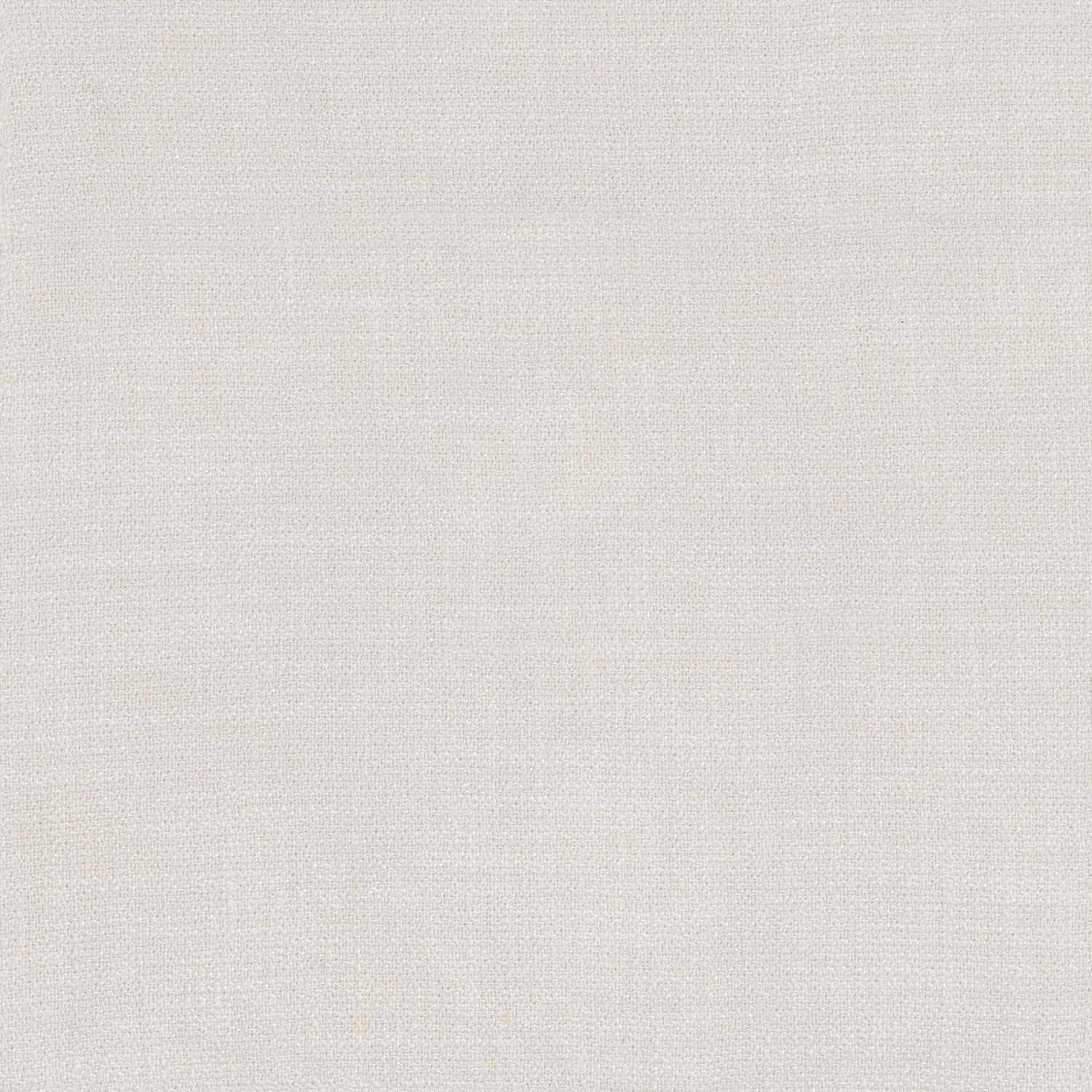 Kauri 36181163