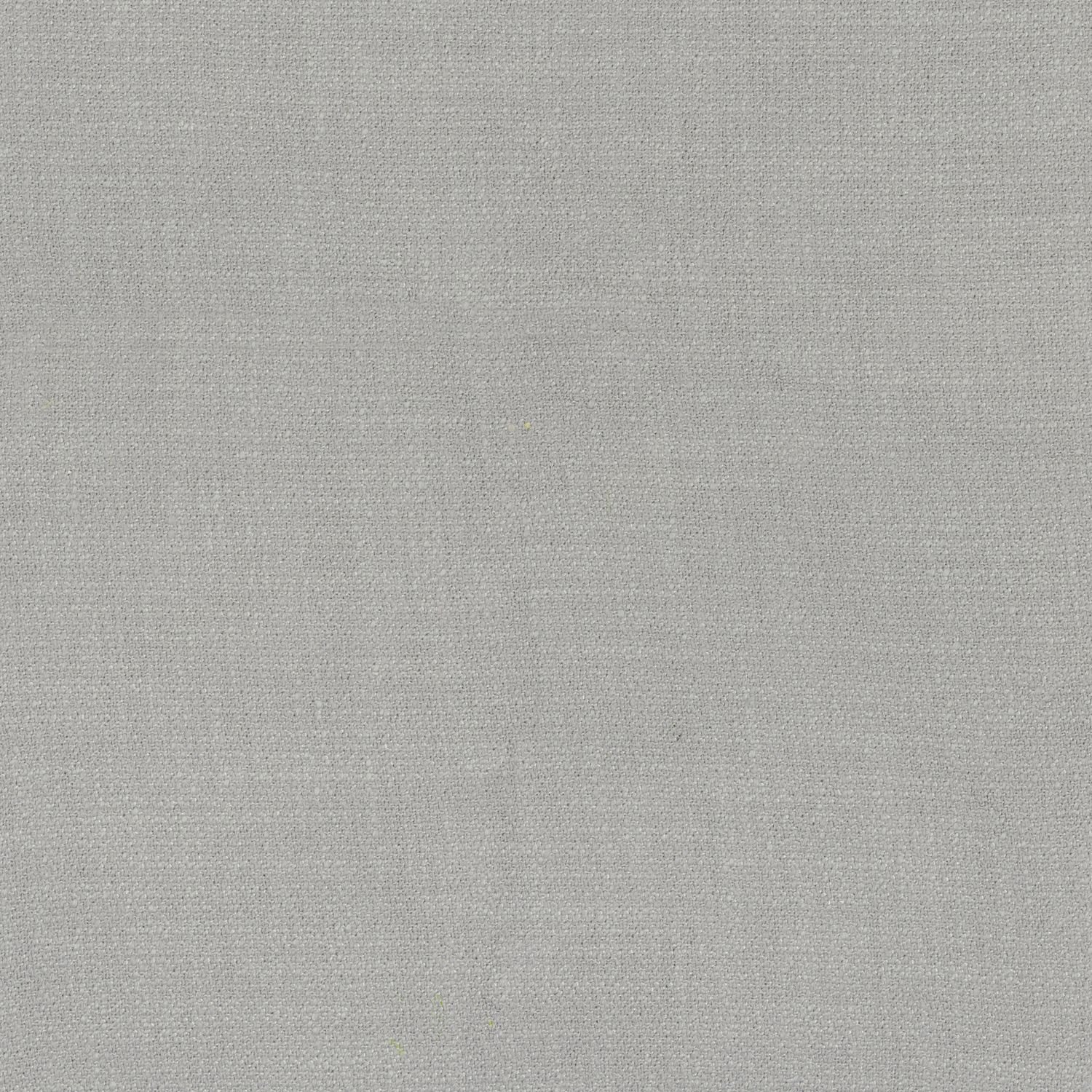 Kauri 36181337