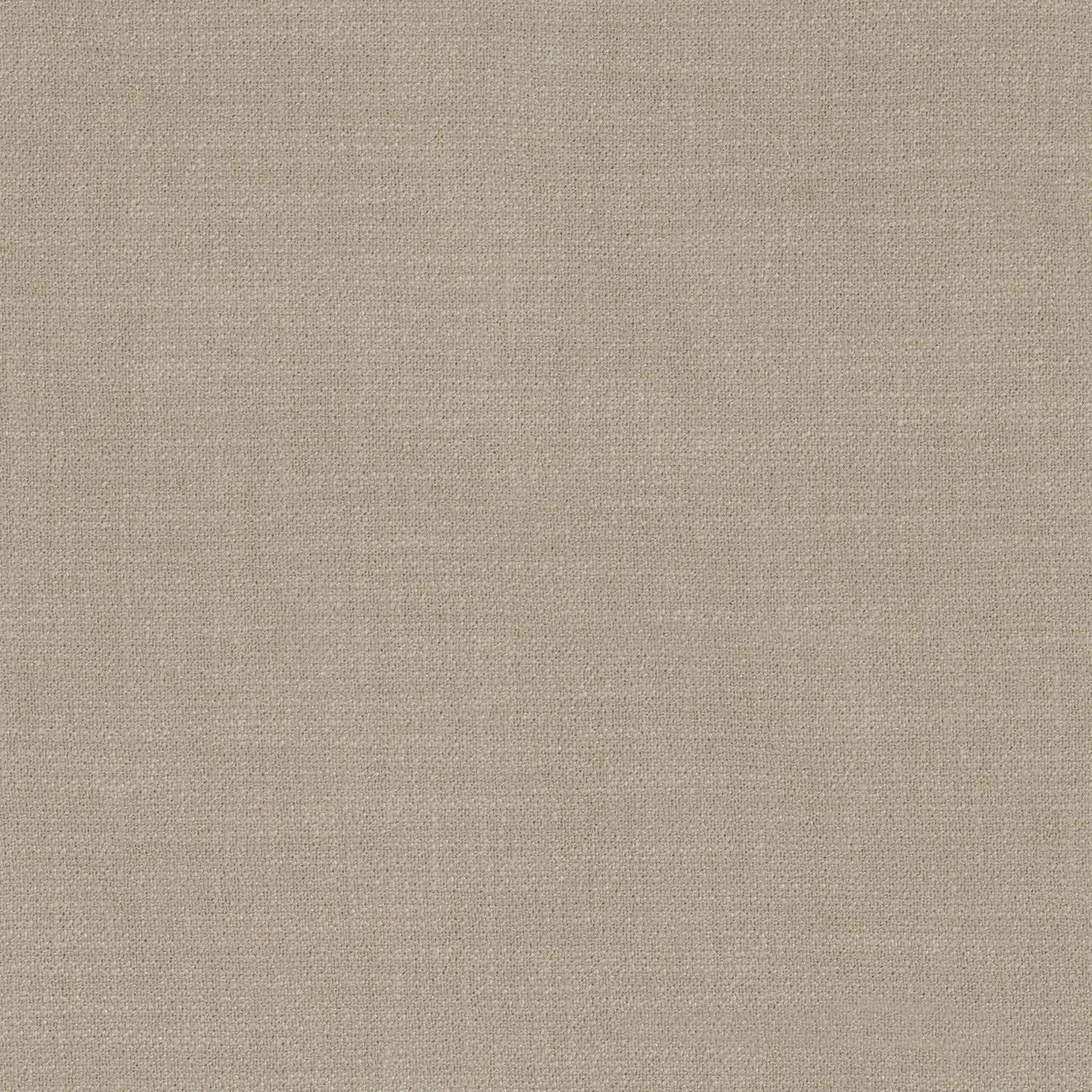 Kauri 36181597