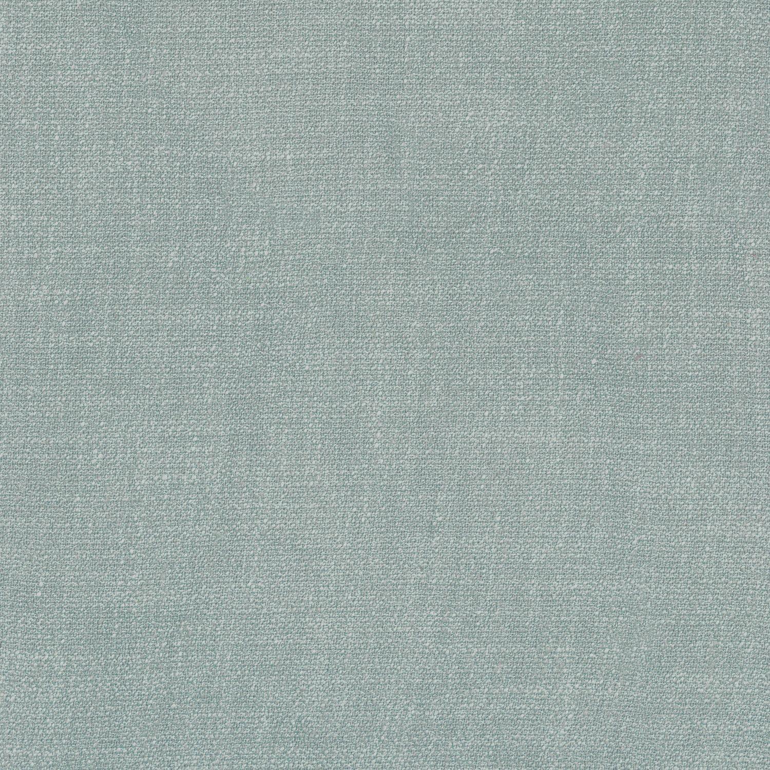Kauri 36181725