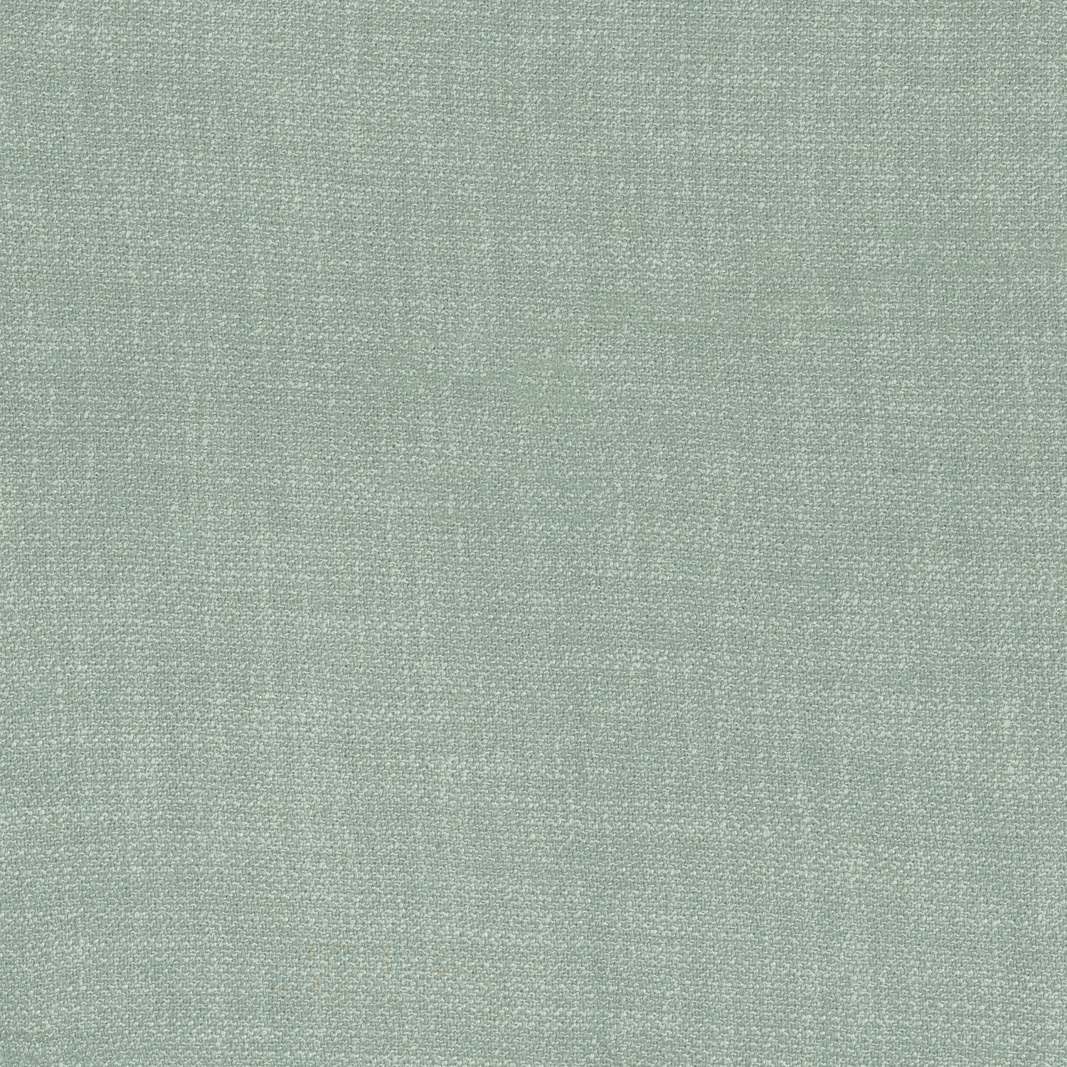Kauri 36181989