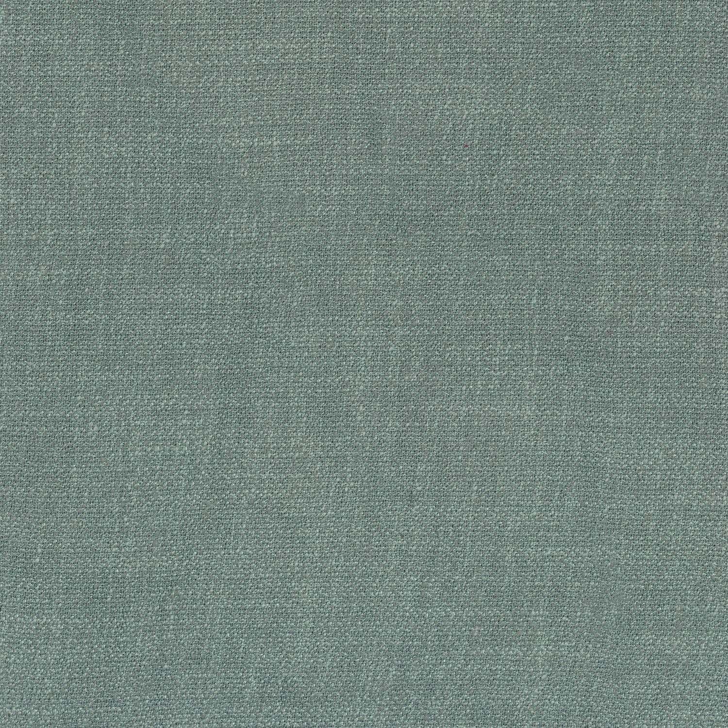 Kauri 36182058
