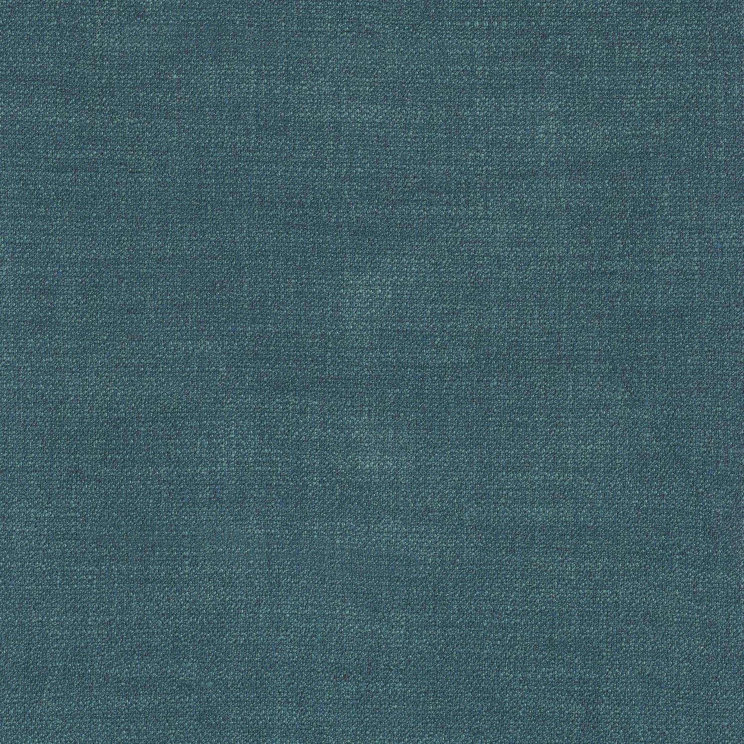 Kauri 36182246