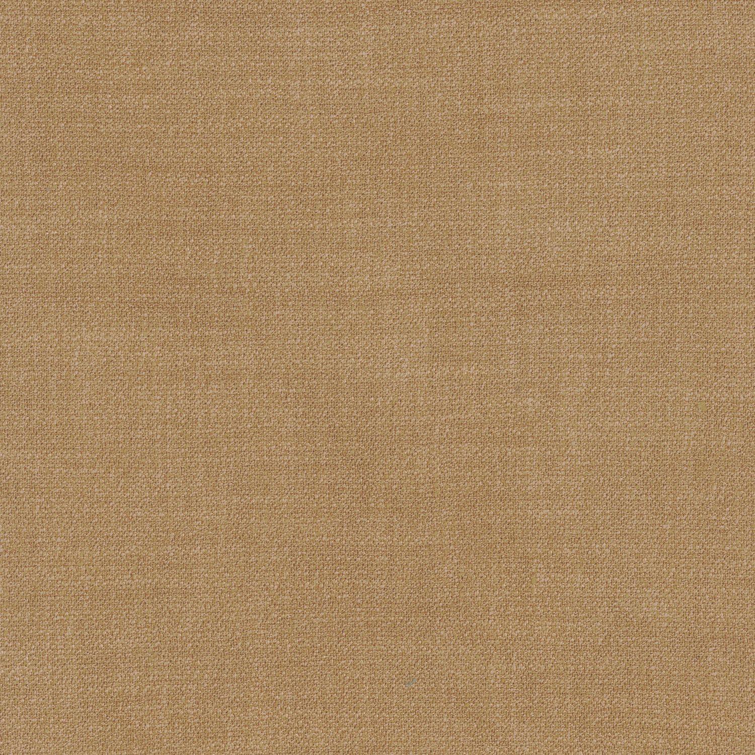Kauri 36182369