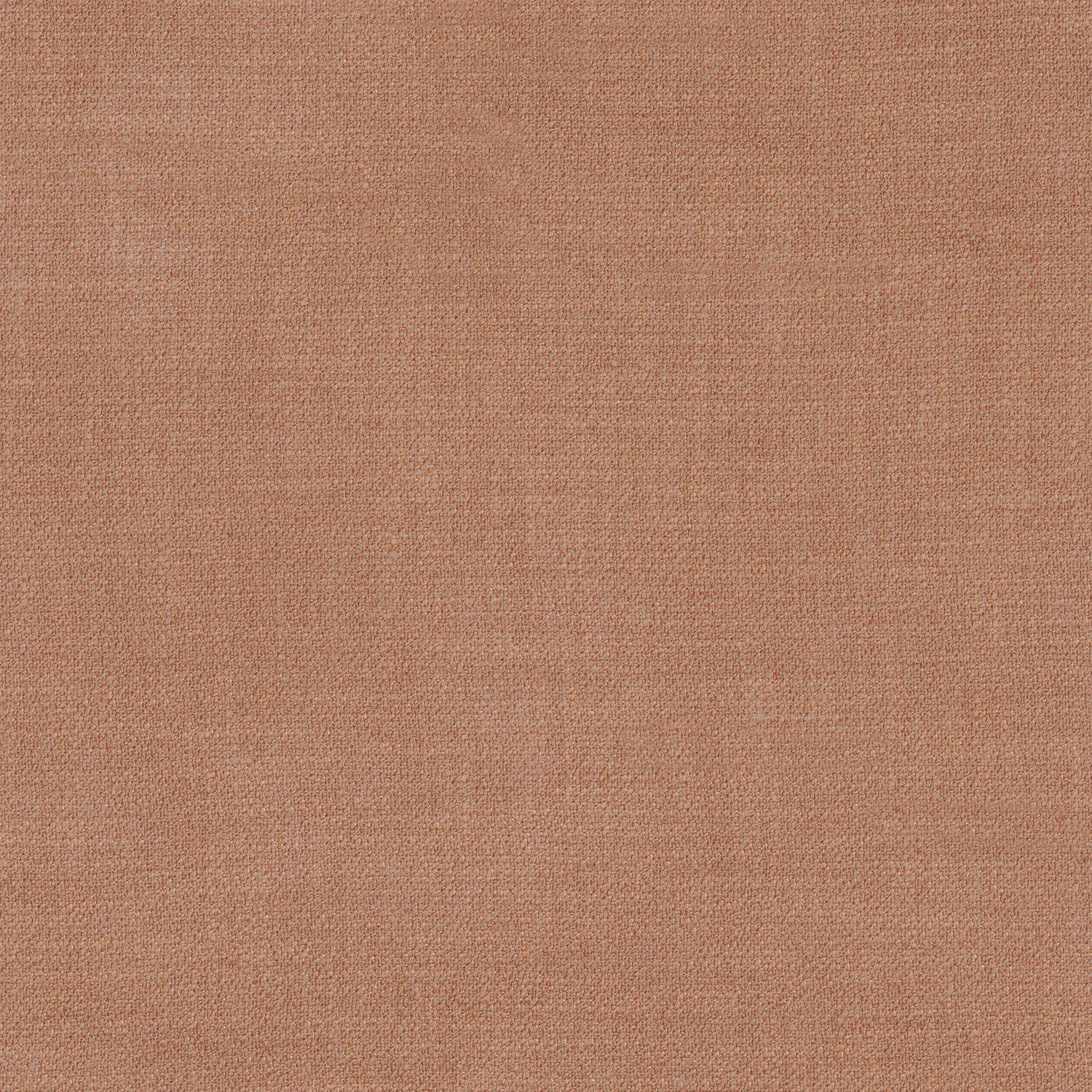 Kauri 36182486