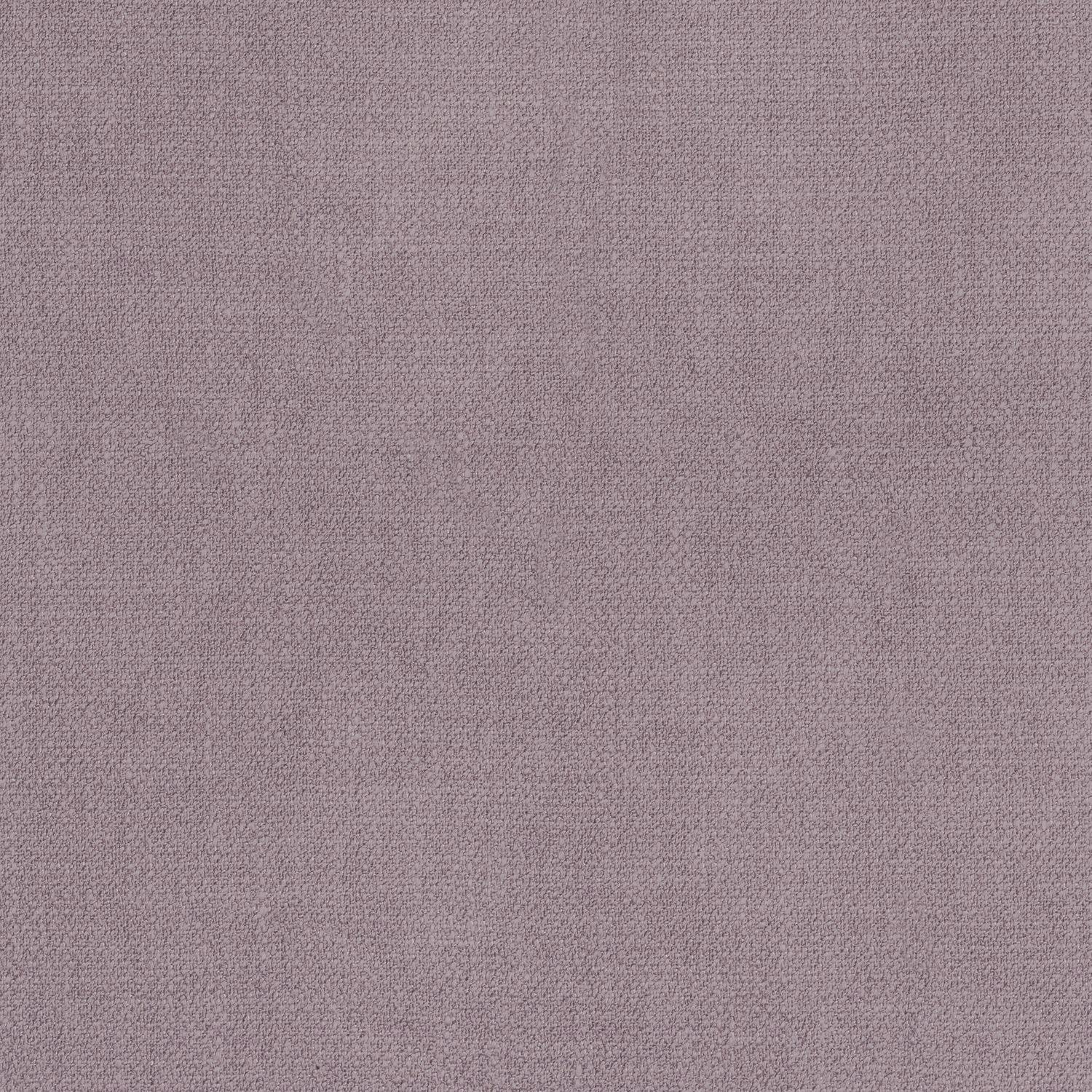 Kauri 36182630