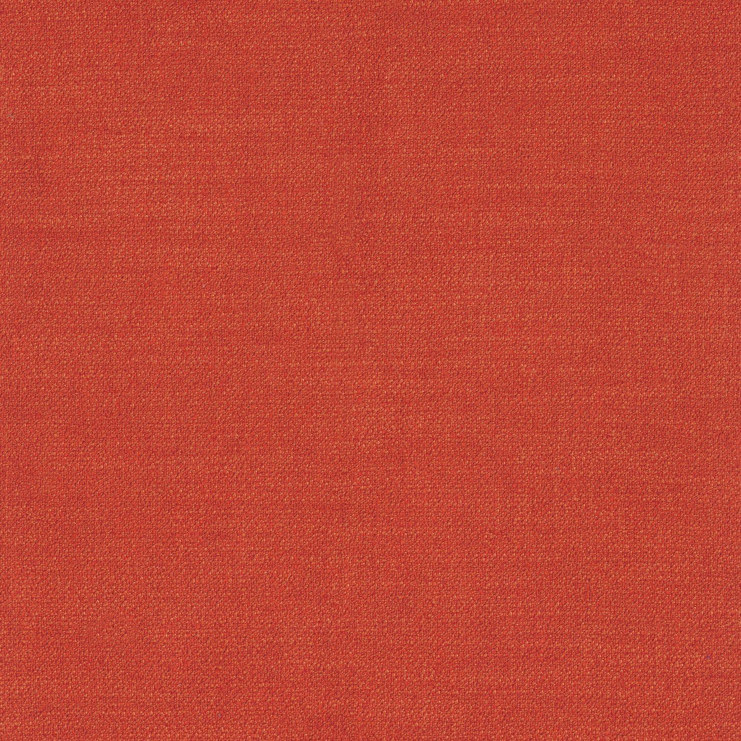Kauri 36182773
