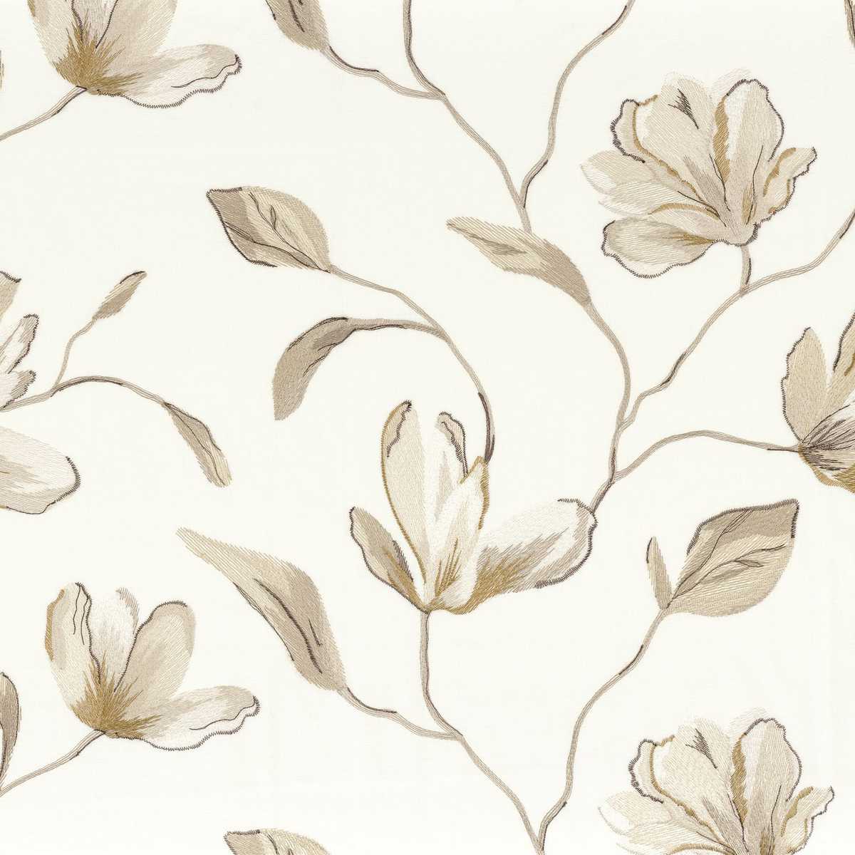 Magnolia 49170141