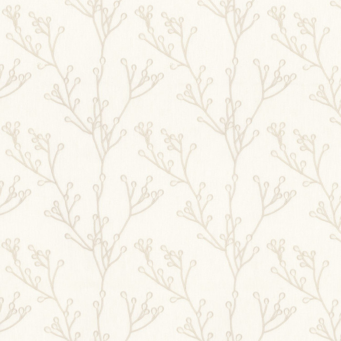 Papille 38110191