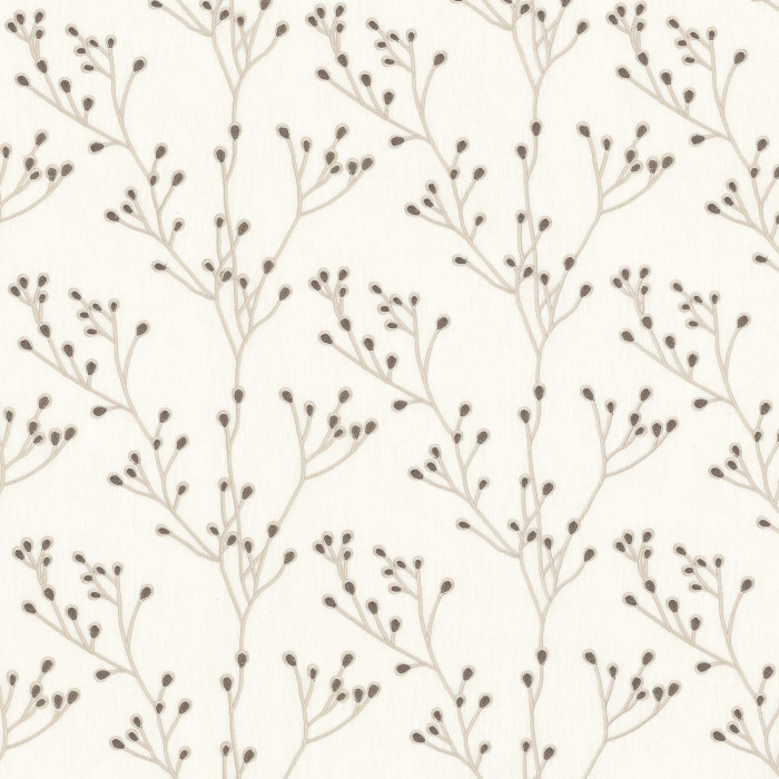 Papille 38110327