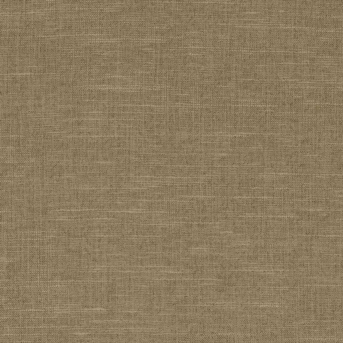Petropolis A48083855