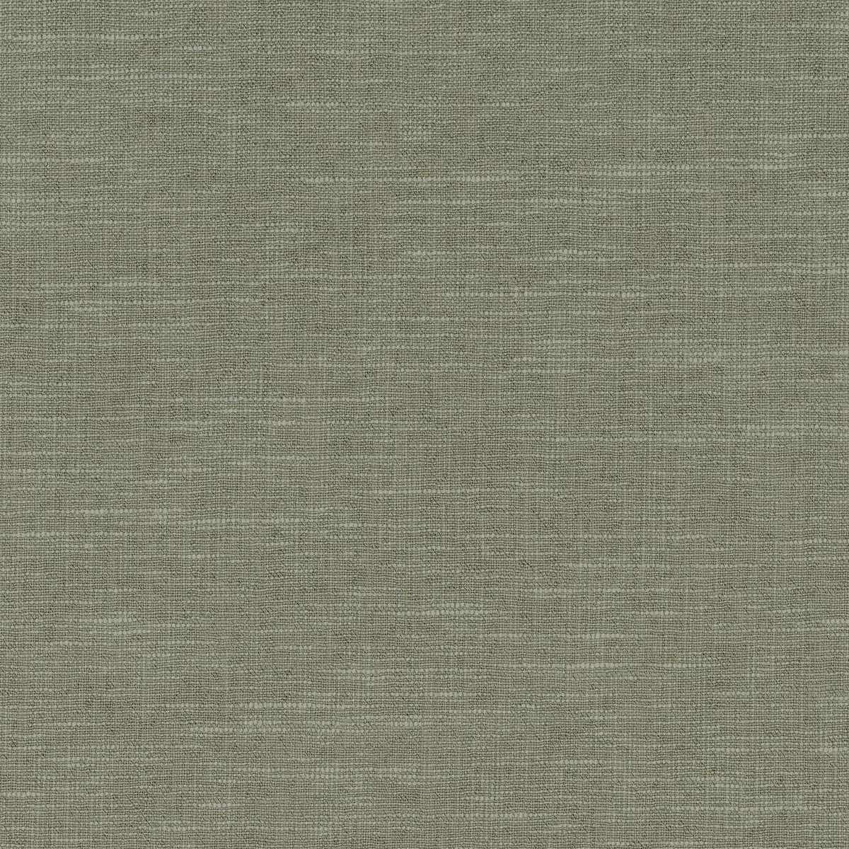 Petropolis A48084684