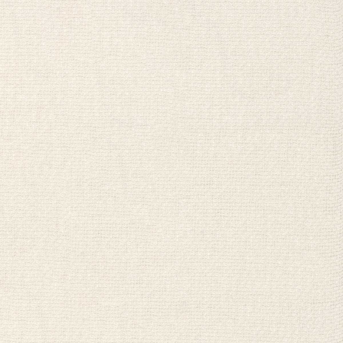 Scirion 50050168