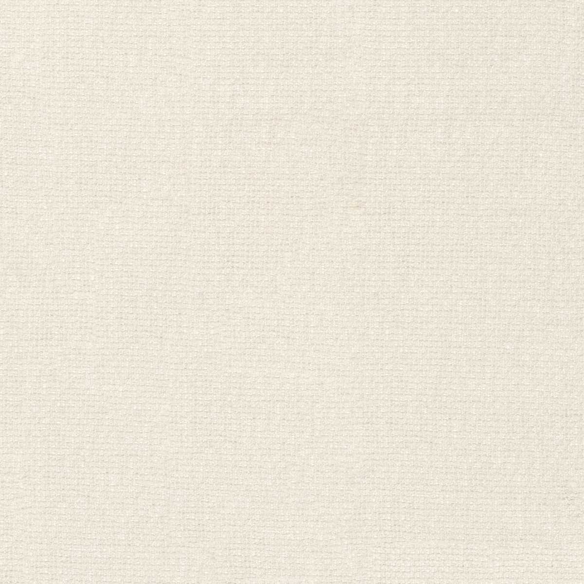 Scirion 50050229