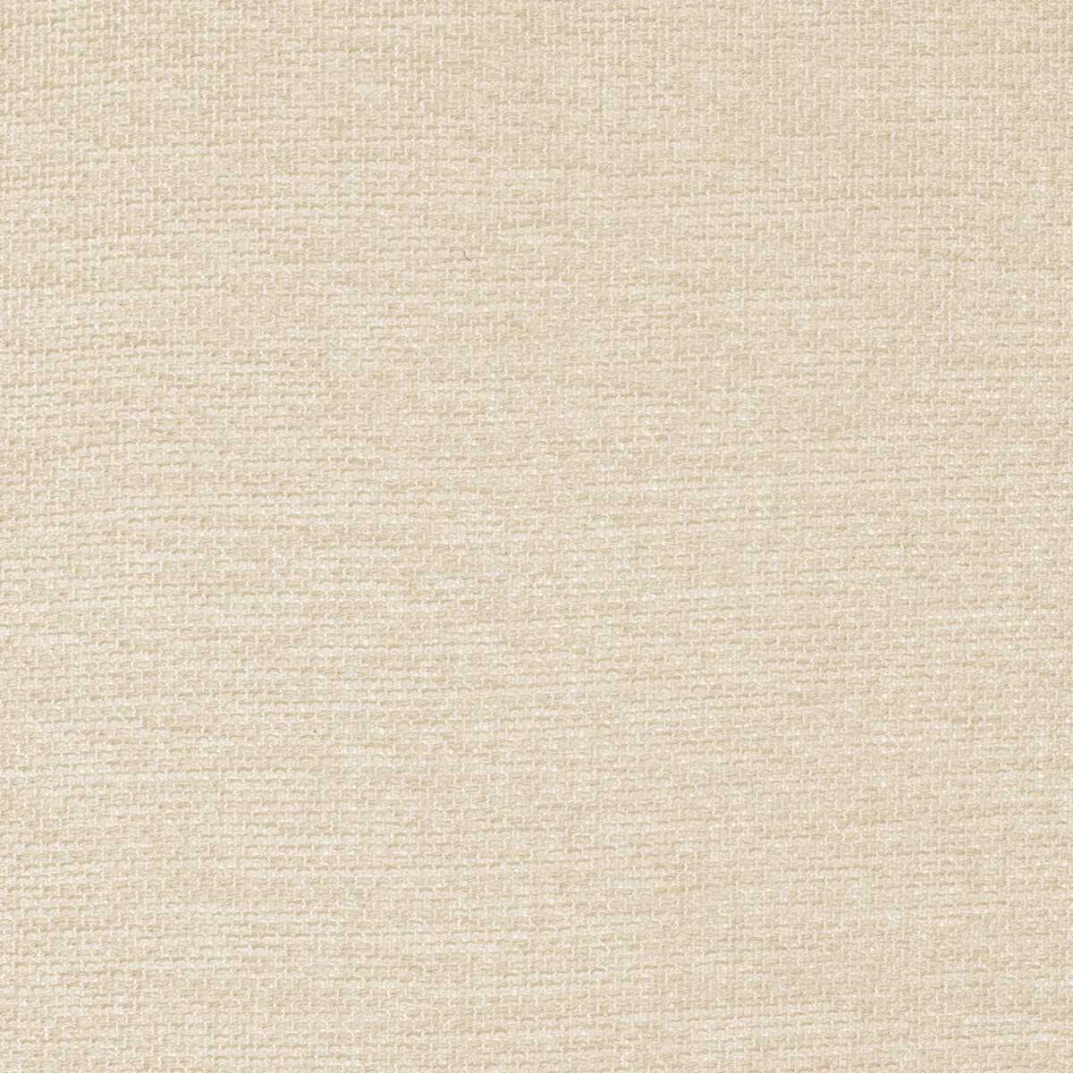 Scirion 50050354
