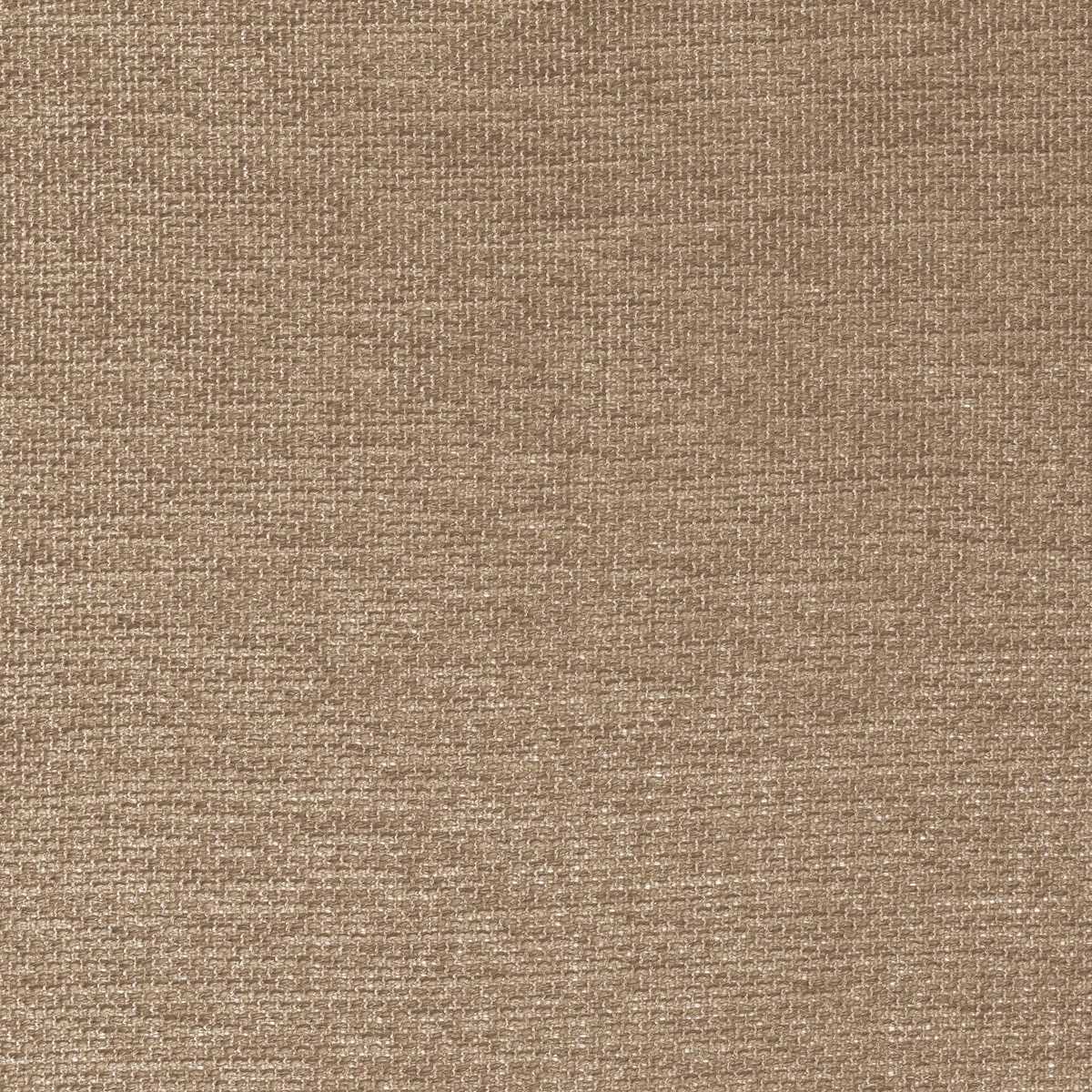 Scirion 50050806