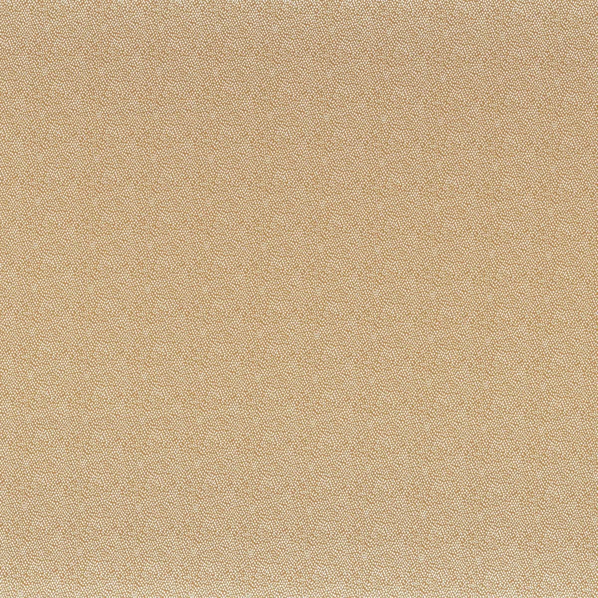 Tarana 40600750