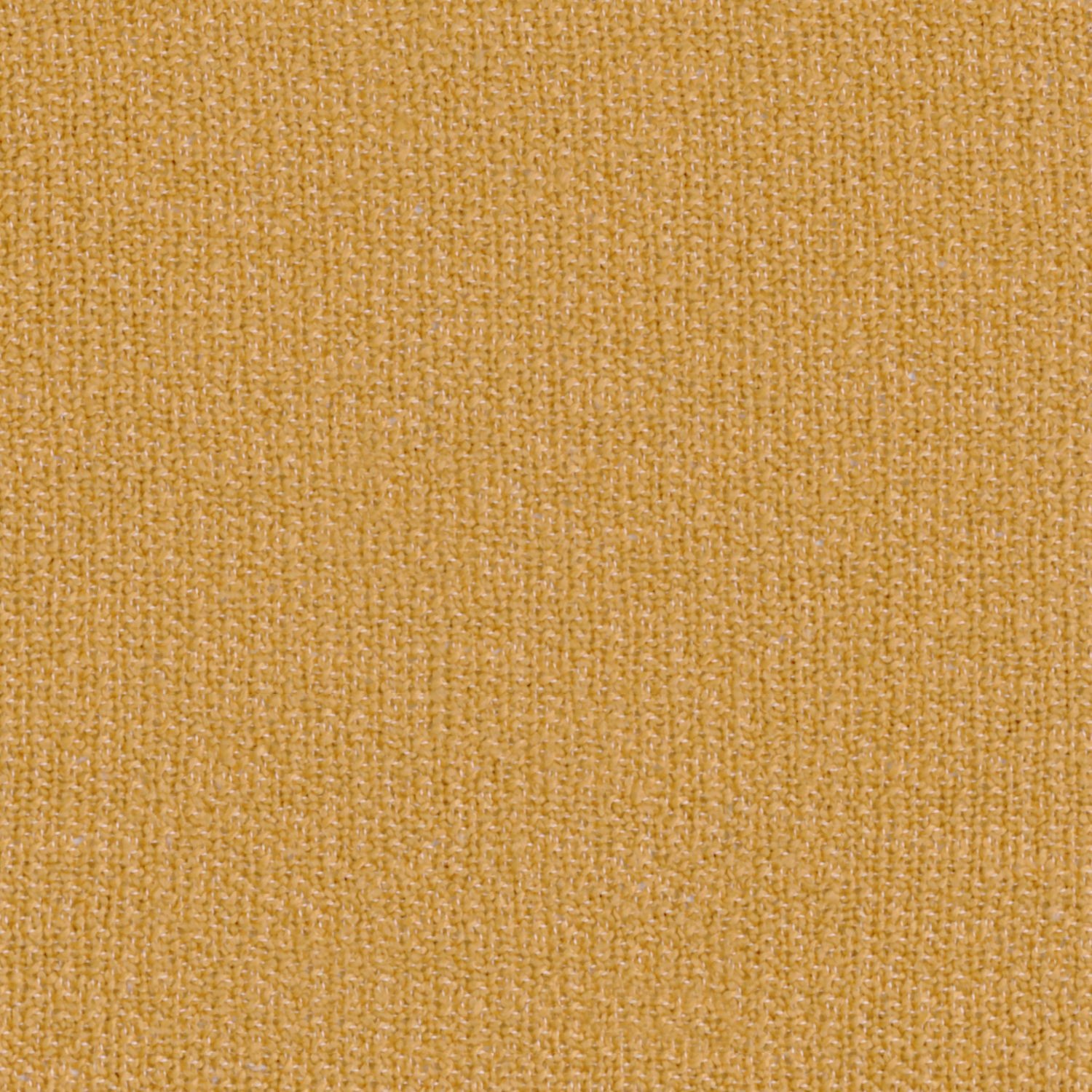 Temae 31441324