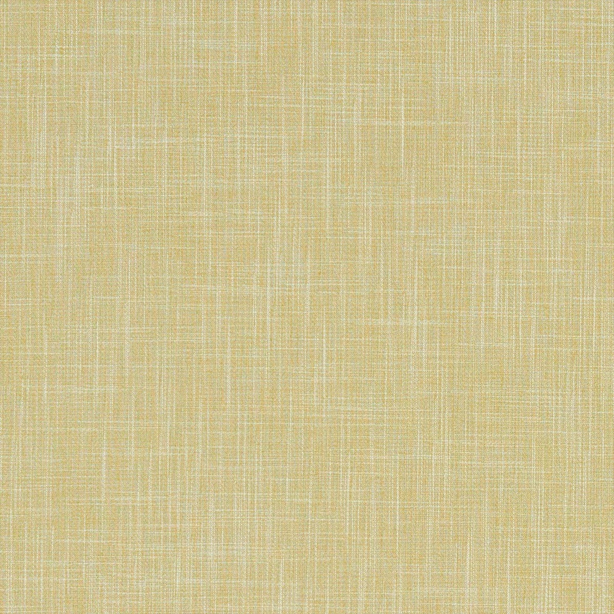 Carnaby Citrus F1096-05