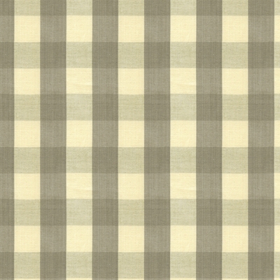 Carsten Check BR-89149-11