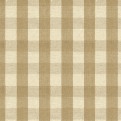 Carsten Check BR-89149-16