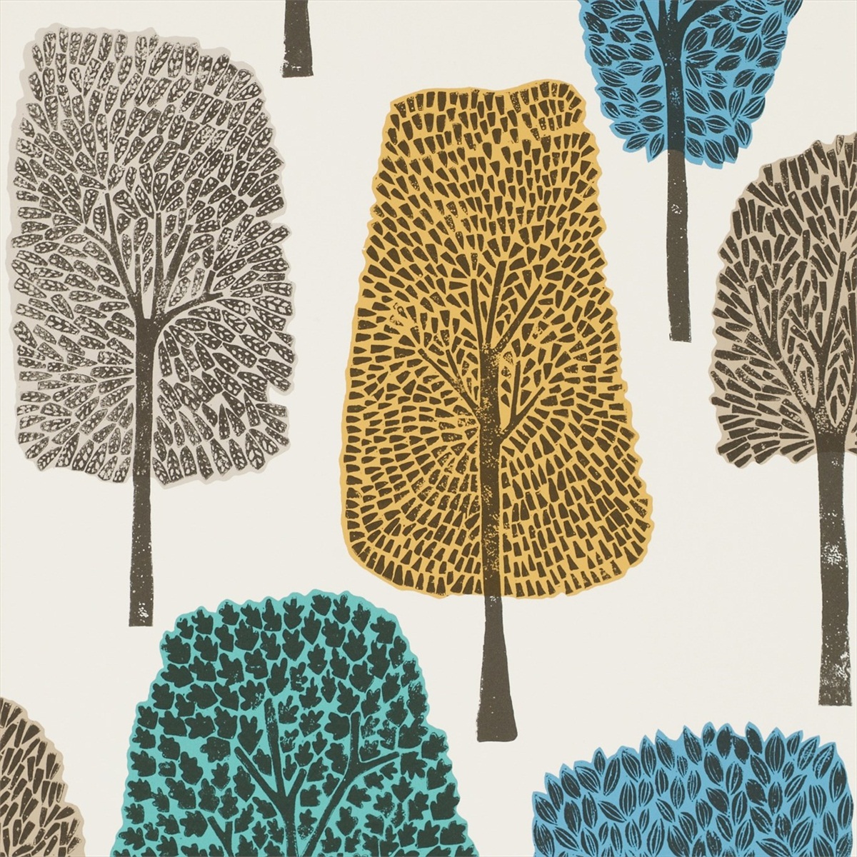 Cedar 111084
