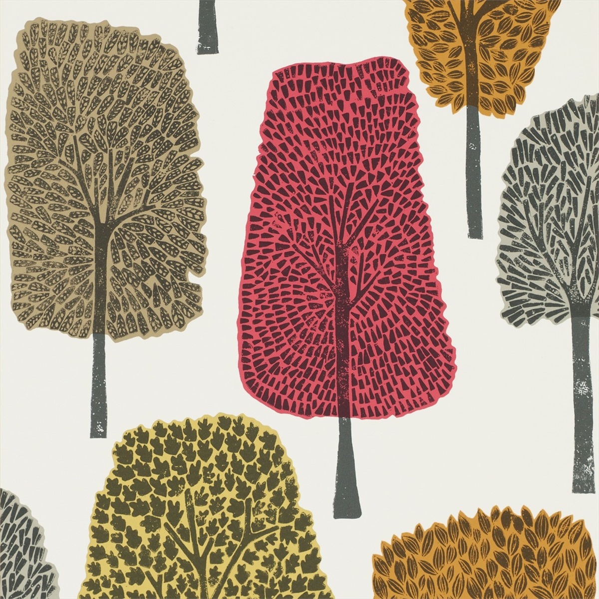 Cedar 111085