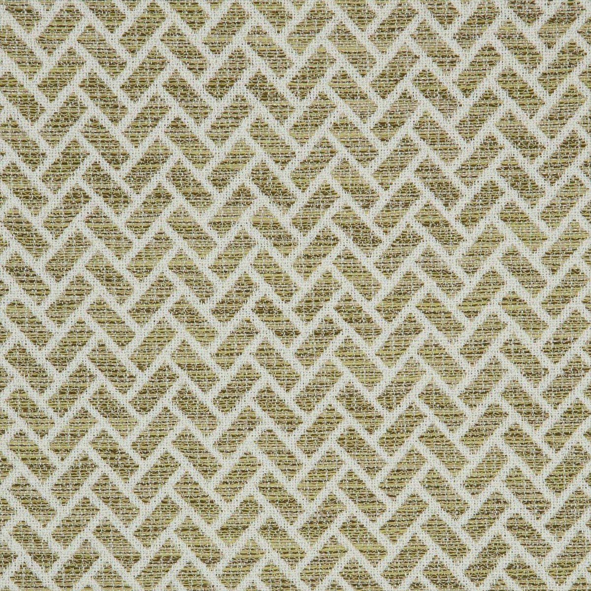 Cipriani Olive F0982-05