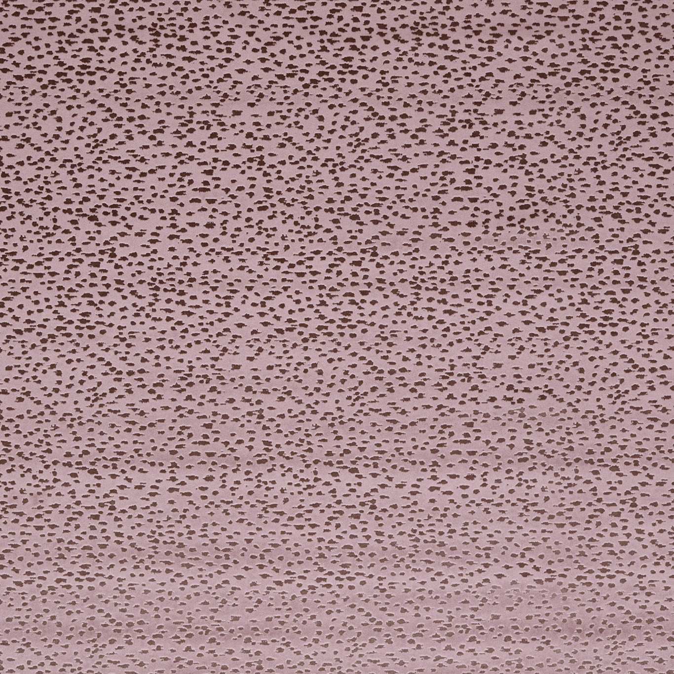 Astral F1564-03