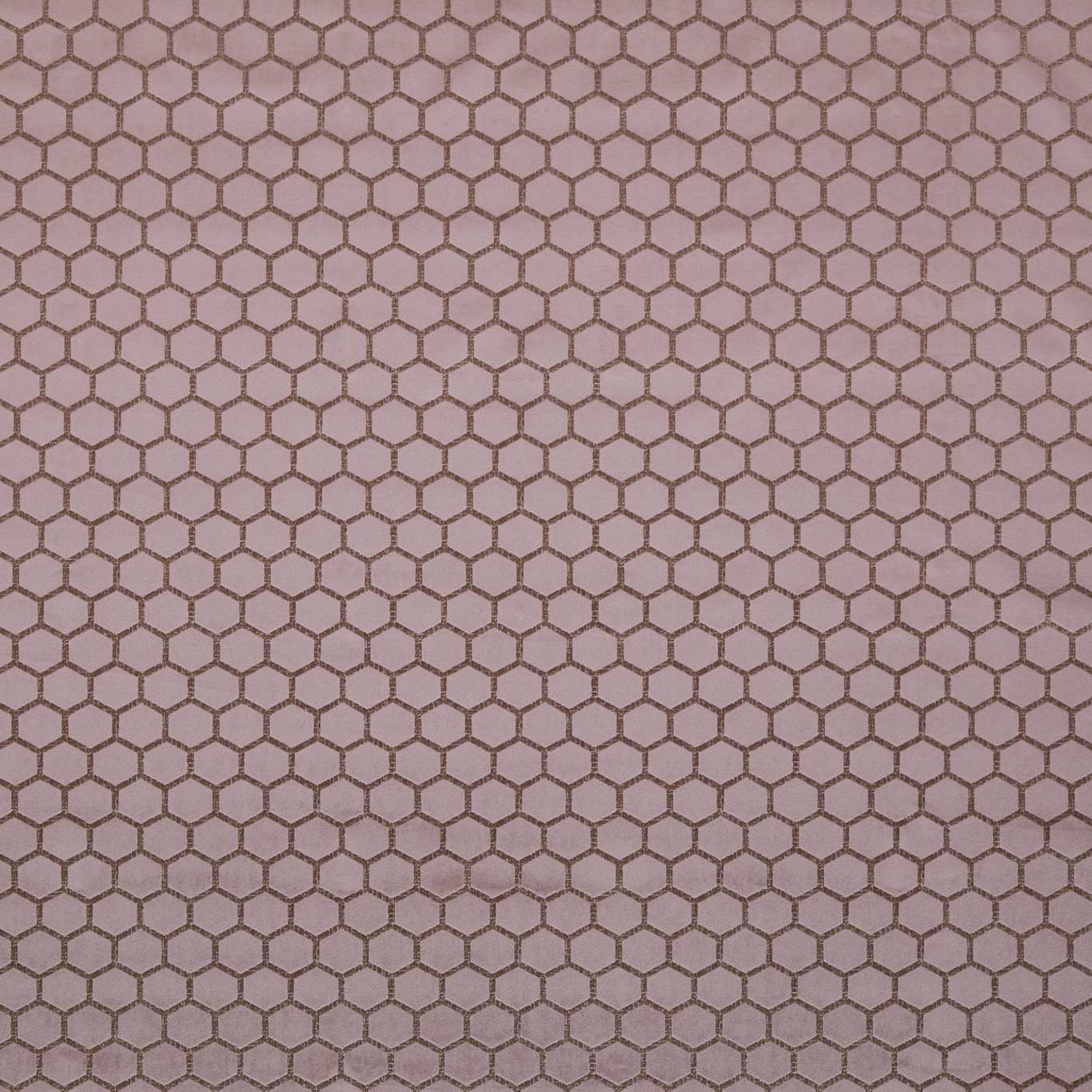 Hexa F1565-03