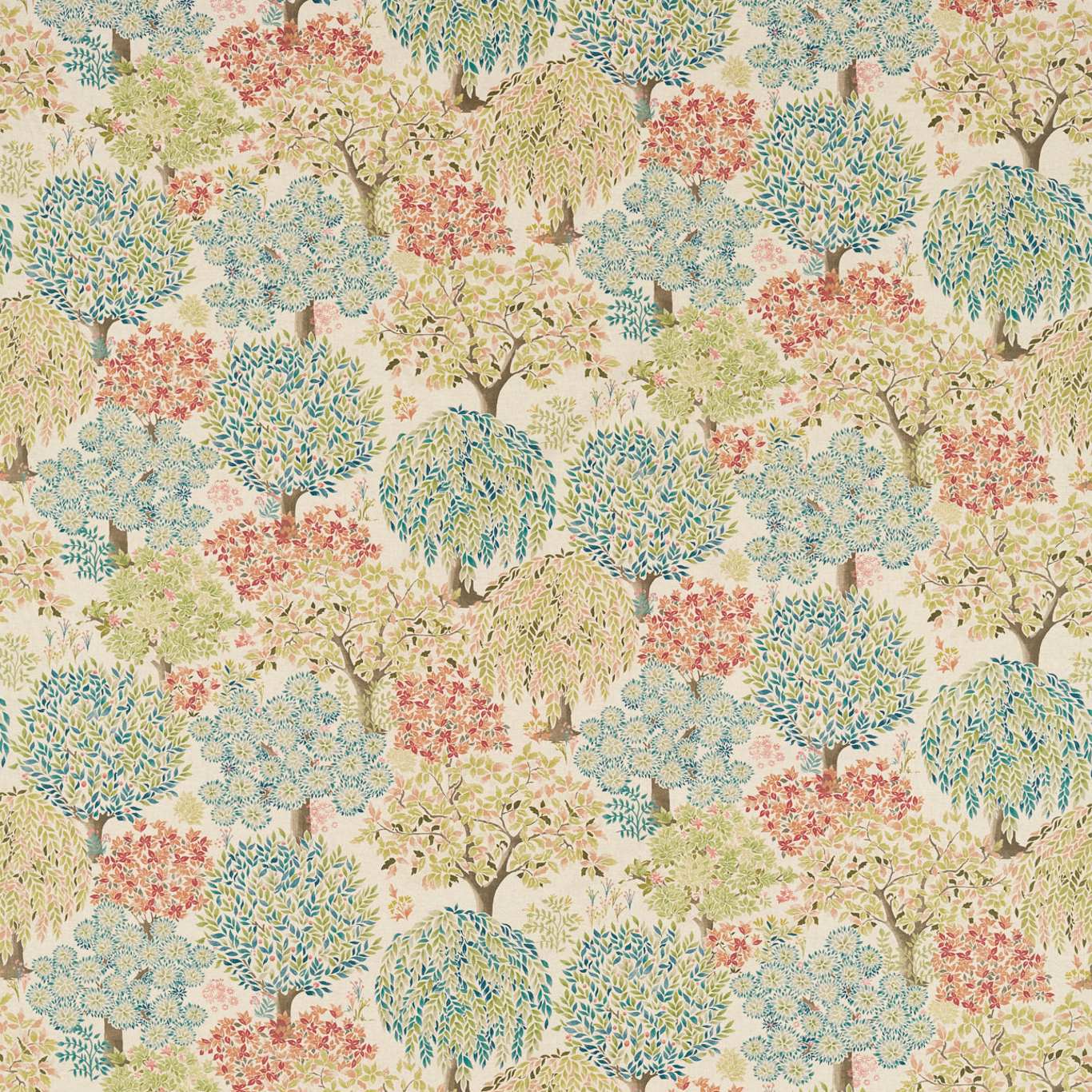 Tatton F1562-05