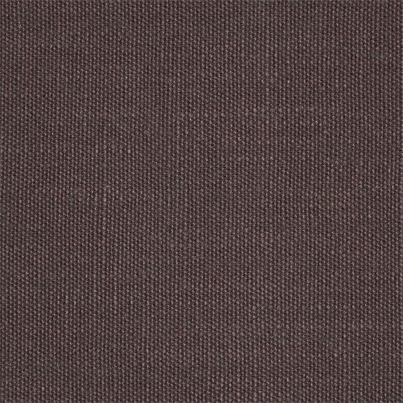 Cocoa Plains One 130437