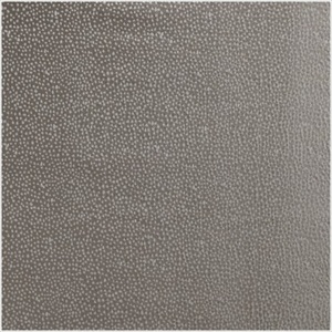 Constellation PDV 2781 11 45