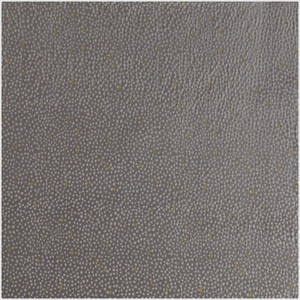 Constellation PDV 2781 21 03