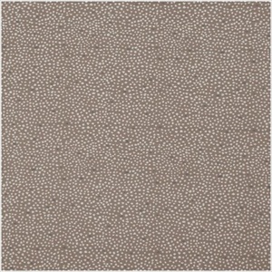 Constellation PDV 2781 41 22