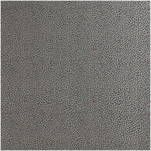 Constellation PDV 2781 83 24