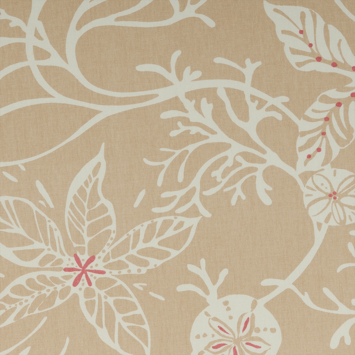 Coral Sand F0403-04